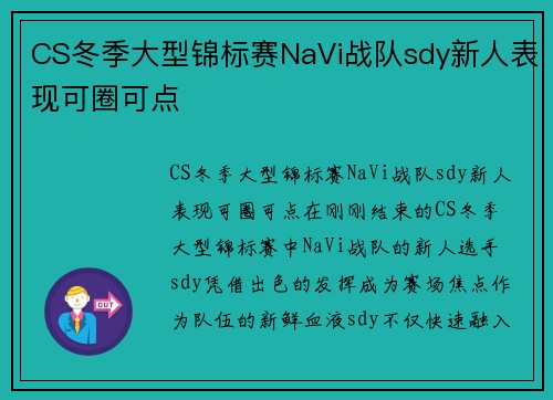 CS冬季大型锦标赛NaVi战队sdy新人表现可圈可点